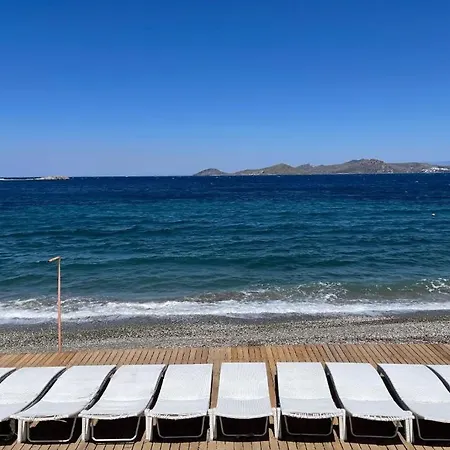 Bodrum Astrid