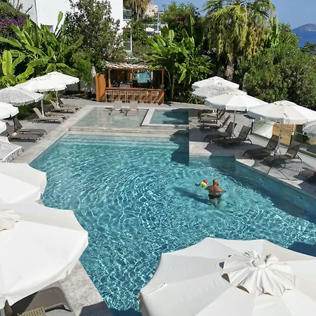 Szálloda Bodrum Astrid 4*